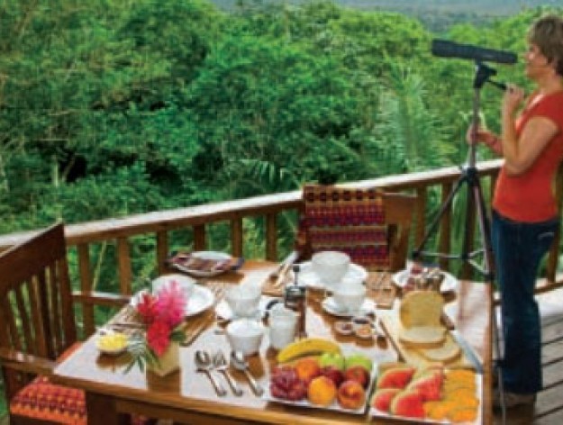 Eco-centric  excursions
