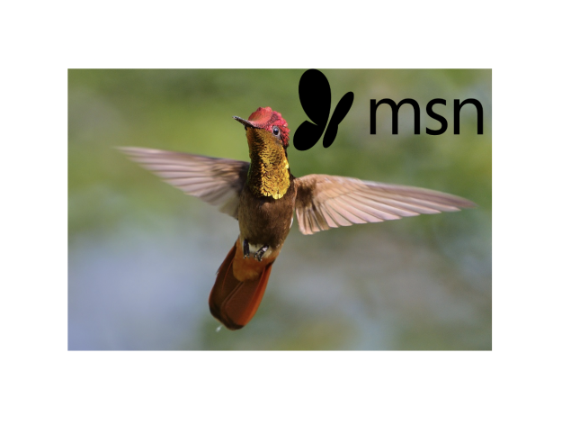 DIESE 7 NATURSCHAUSPIELE SOLLTE MAN MIT EIGENEN AUGEN SEHEN