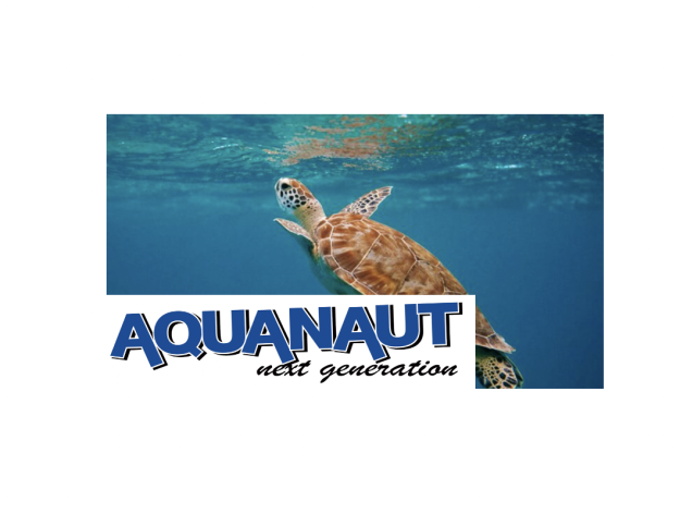Das Bucuti & Tara Beach Resort begrüßt tierische Gäste